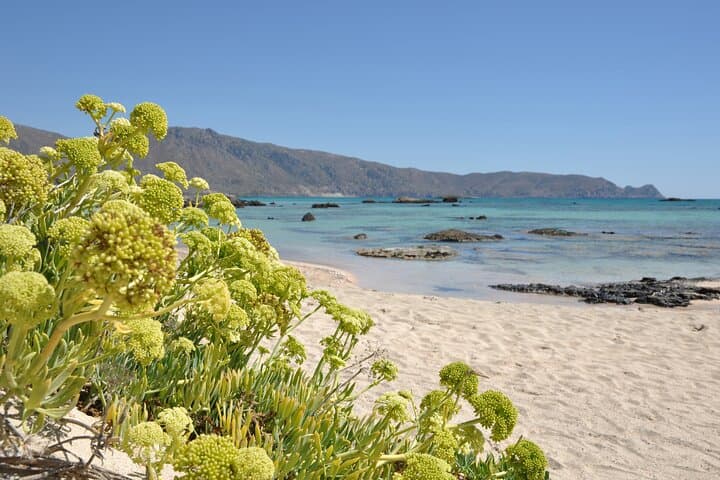 Elafonissi Beach Day Trip — Crete’s Pink-Sand Lagoon and White Mountains Drive photo 5