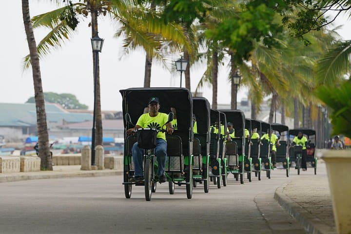 Electric Pedicab Tour of Stone Town, Zanzibar — Private Sustainable City Ride photo 1