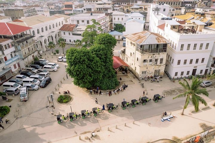 Electric Pedicab Tour of Stone Town, Zanzibar — Private Sustainable City Ride photo 2