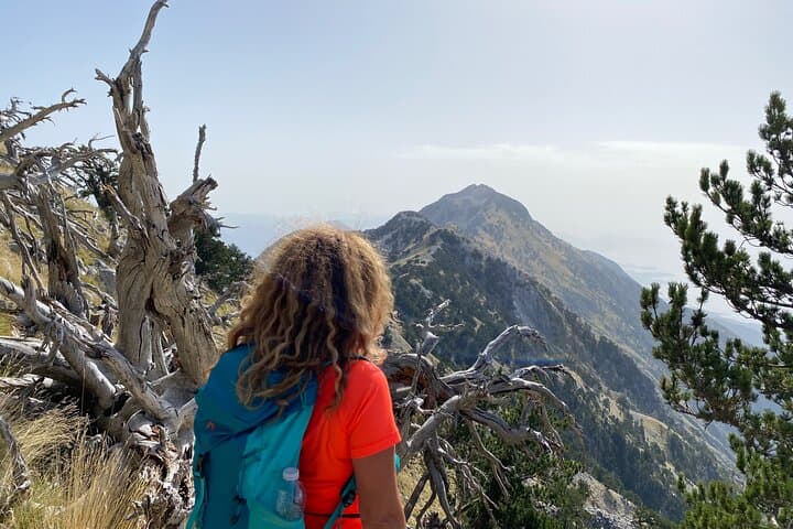 Hike Çika Peak: Full-Day Guided Trek in Llogara National Park photo 4