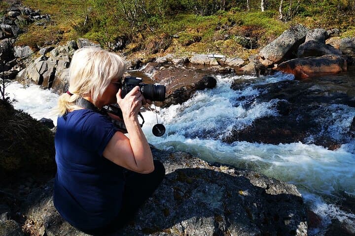 Half-Day Arctic Wildlife Photography Tour Near Kiruna photo 2