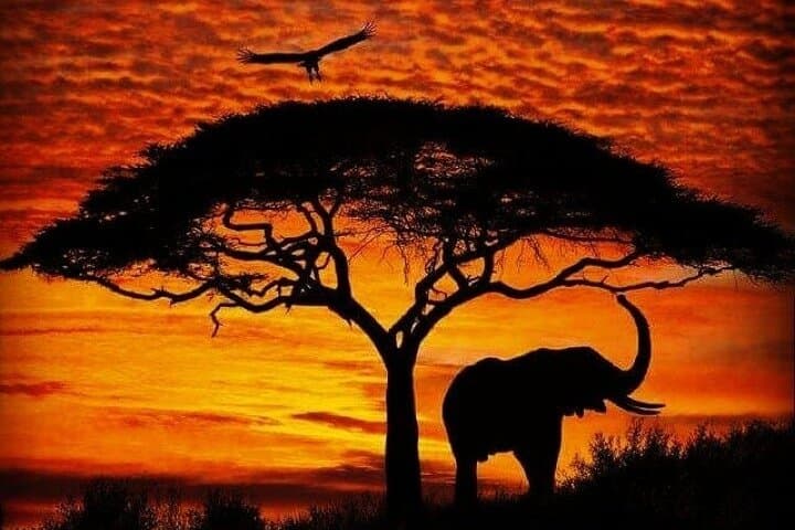 12-Day Kenya and Tanzania Safari: Masai Mara to Serengeti Camping Adventure photo 5