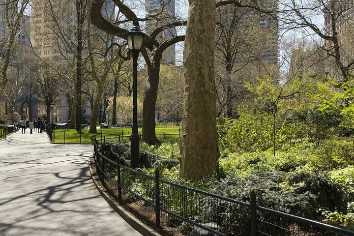 Midtown Manhattan & Central Park: Private Guided Walking Tour Through the Heart of NYC photo 3
