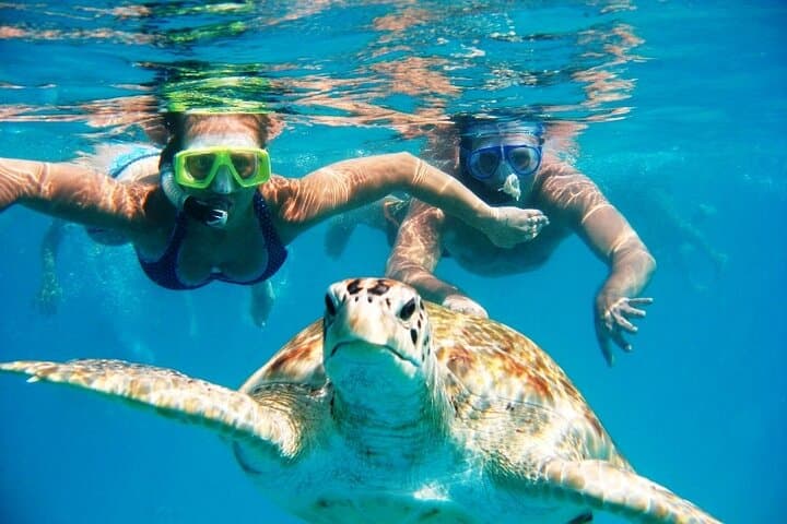 Carlisle Bay Glass-Bottom Boat Cruise and Snorkeling Barbados photo 1