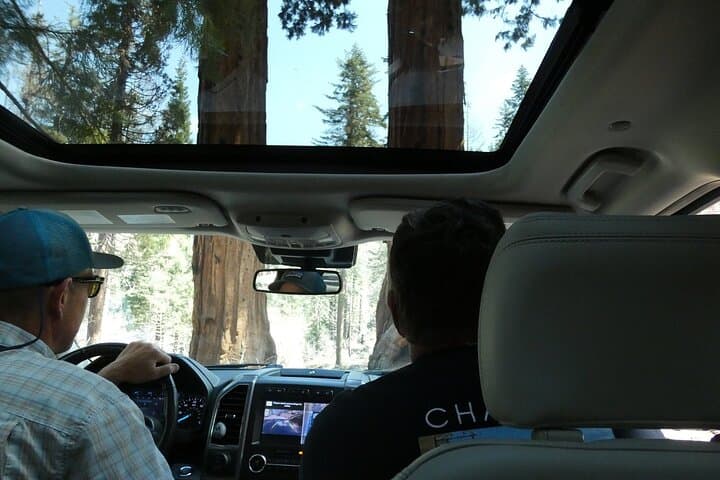 Sequoia Small-Group Tour from Wuksachi Lodge — Giant Forest, Moro Rock & Crescent Meadow photo 3