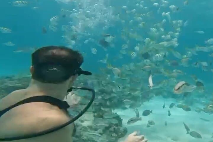 Punta Cana Private Catamaran: Parasailing, Snorkeling & Hookah Diving photo 6