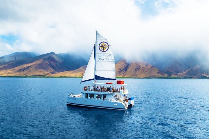Afternoon Snorkel at Coral Gardens on Four Winds — Maalaea Harbor to Molokini