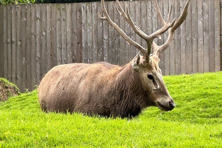 Private Glencoe & Highland Day Tour from Edinburgh — Scenic Drives and Historic Glens photo 3