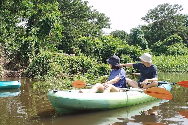 Private Kayak Tour Around Ometepe's Volcanoes: 2-Hour Guided Paddle photo 3