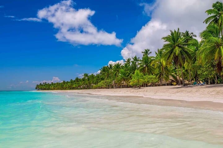 Day Trip to Isla Saona: Natural Pools, White Sands & Dominican Beach Lunch photo 1