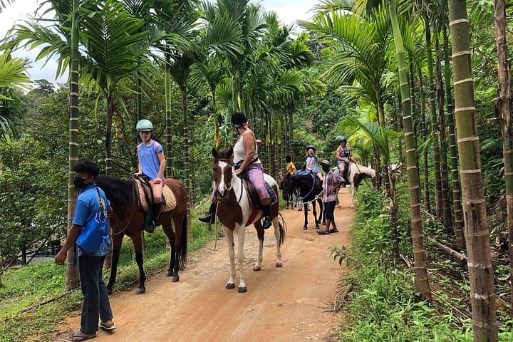 Phuket Scenic Horseback Riding Adventure: Big Buddha Hill & Bang Wad Trails photo 3