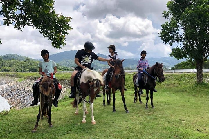 Phuket Scenic Horseback Riding Adventure: Big Buddha Hill & Bang Wad Trails photo 4