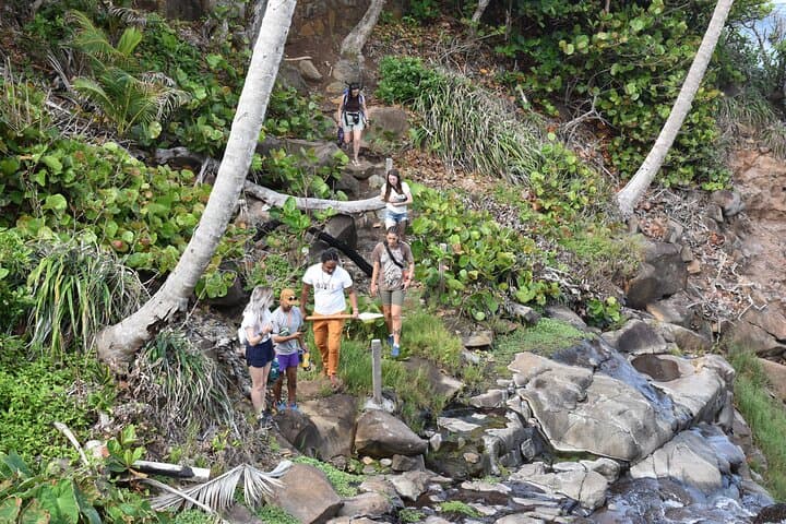 Kalinago Territory Cultural Tour with Past Chief Lorenzo Sanford — Dominica Indigenous Village Experience photo 2