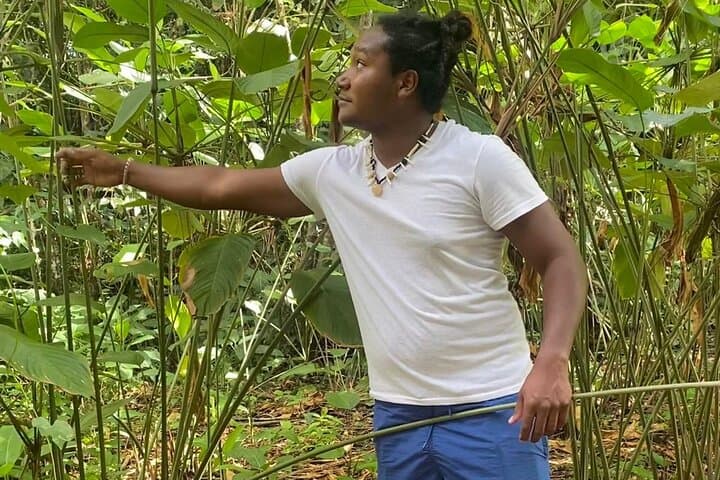 Kalinago Territory Cultural Tour with Past Chief Lorenzo Sanford — Dominica Indigenous Village Experience photo 4