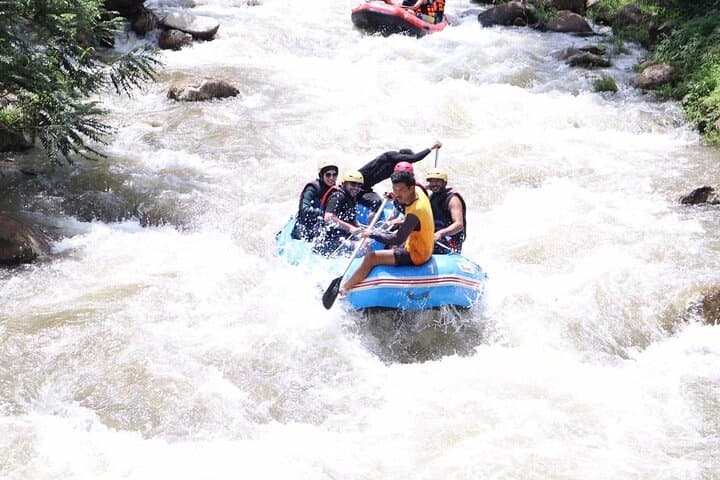 Phuket to Phang Nga White-Water Rafting & Monkey Cave Adventure photo 3