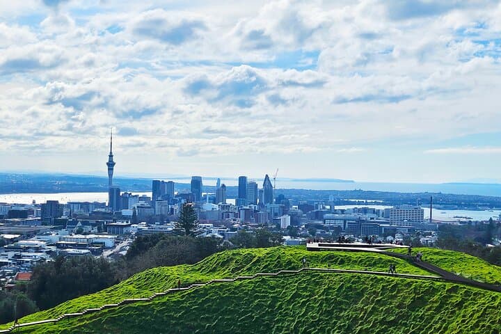 Auckland City Highlights Private Tour — 4-Hour Best of Auckland Morning Experience photo 5
