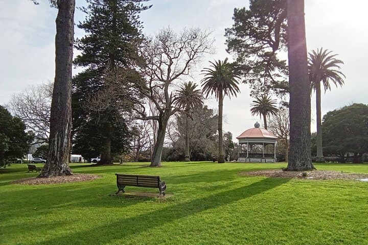 Auckland City Highlights Private Tour — 4-Hour Best of Auckland Morning Experience photo 2
