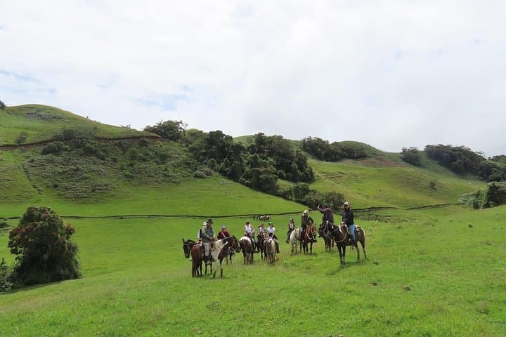 Horseback Riding in Murillo Tolima: Ecological Trails with Nevado del Ruiz Views photo 2