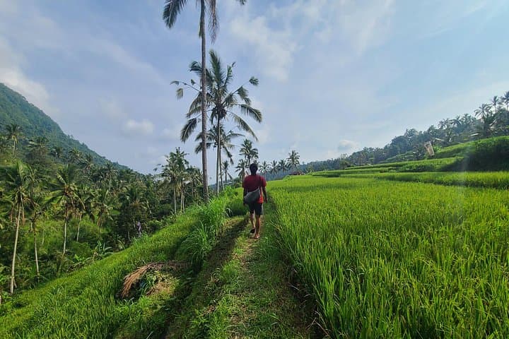 Lemukih Trek: Sekumpul & Fiji Waterfalls Waterslide Adventure in North Bali photo 3