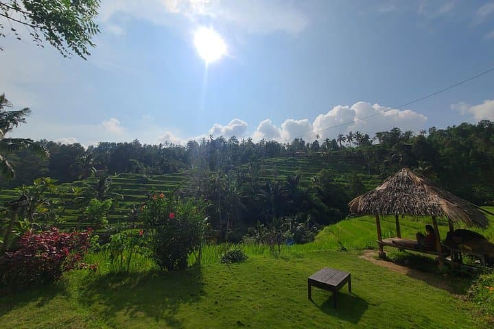 Lemukih Trek: Sekumpul & Fiji Waterfalls Waterslide Adventure in North Bali photo 4