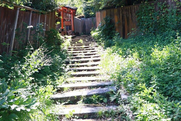 Hidden Kyoto: Private Short Tour to Discover Temples, Tea, and Local Secrets photo 5