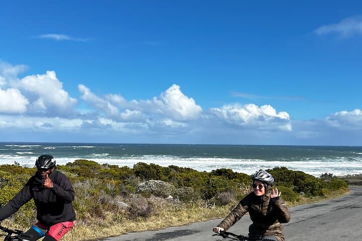Cycling the Cape Peninsula: E‑Bike Private Tour from Cape Town to Cape Point photo 5