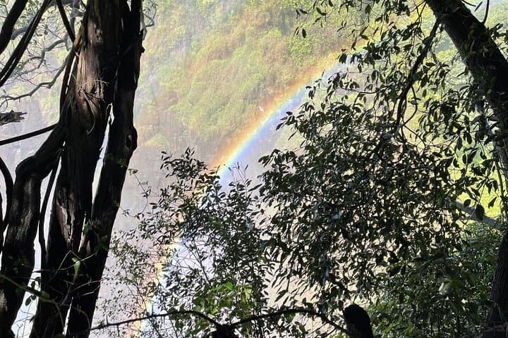 Victoria Falls Walking Tour with a Local Guide — Rainforest Path & Lookouts photo 4