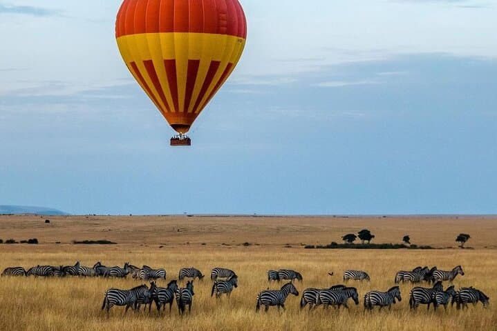 3-Day Masai Mara Safari: Big Five, Migration & Multi-Day Game Drives photo 4