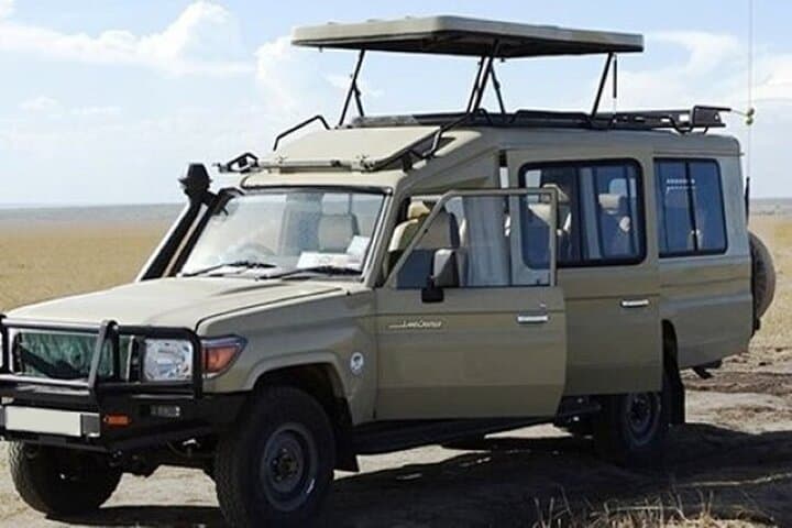 3-Day Masai Mara Safari: Big Five, Migration & Multi-Day Game Drives photo 3