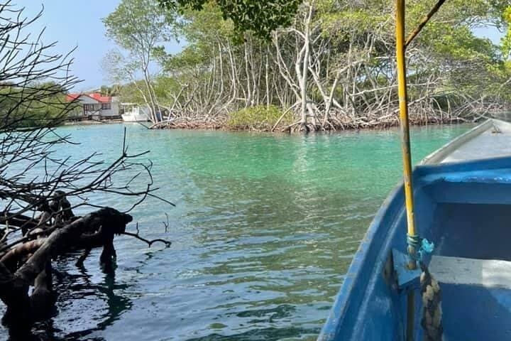 East Side Mangrove Tunnel & Garifuna Village Adventure — Roatán Day Tour