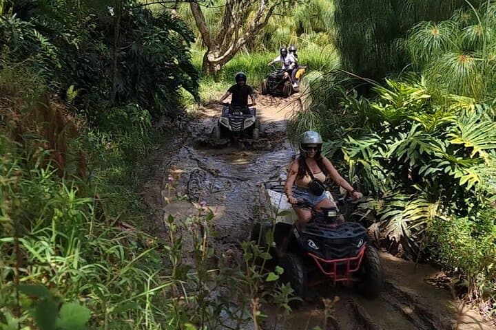 ATV Adventure from Medellín: Llanogrande Mountains & Forest Tour photo 5