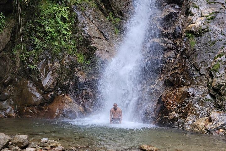 Half-Day Waterfall Hike from Medellín — Fog-Forest Falls Near Envigado