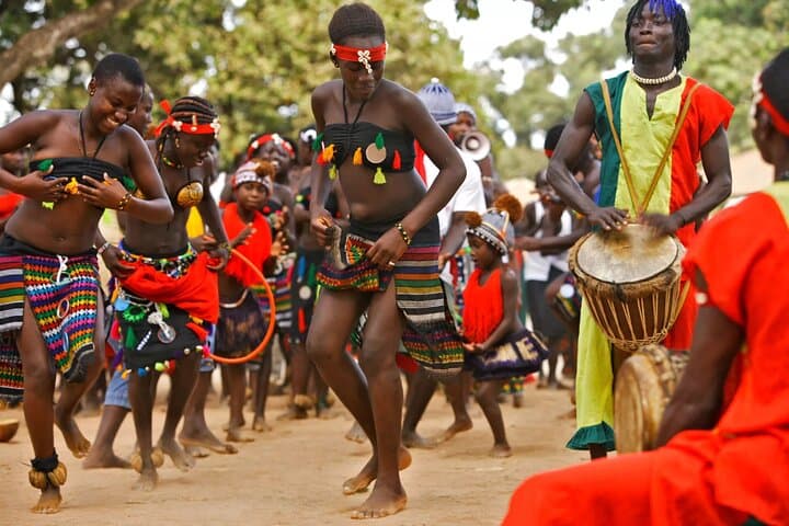 Half-Day Tala Game Reserve & Phezulu Safari Park: Wildlife and Zulu Culture from Durban photo 5