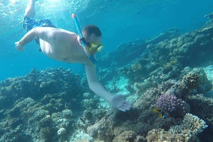 Hurghada Dolphin House Full-Day: Swim with Dolphins, Snorkel & Lunch photo 4