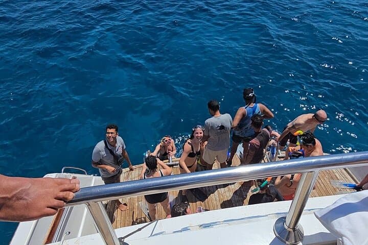 Hurghada Dolphin House Full-Day: Swim with Dolphins, Snorkel & Lunch photo 6