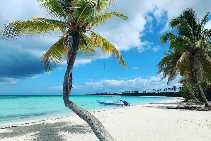 Full-Day Isla Saona Catamaran Tour from Punta Cana photo 2