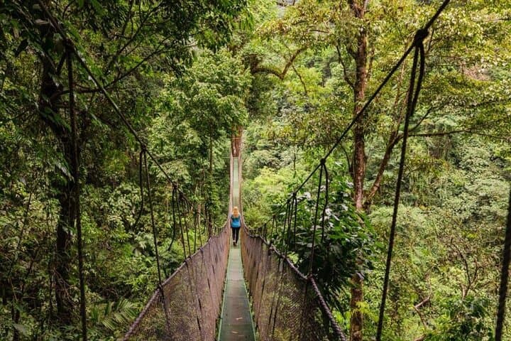 Manuel Antonio Hanging Bridges & Waterfalls — Rainmaker Day Hike photo 6