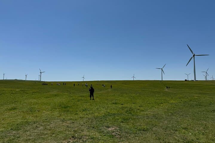 4-Day Inner Mongolia Huitengxile Grassland, Wulanhada Volcano & Kubuqi Desert Tour photo 1