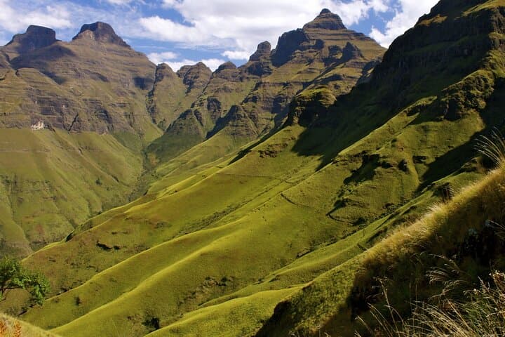 4-Day Garden Route Tour from Cape Town — Hiking, Game Drives & Wildlife photo 6