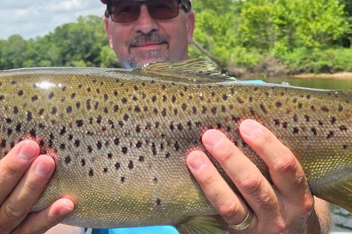 Branson Trout Fishing: 4-Hour Guided Trip on Lake Taneycomo with Captain B photo 3