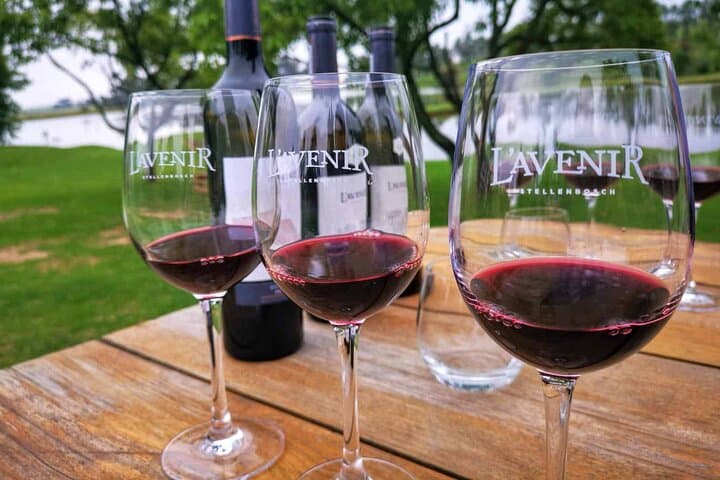 Franschhoek Wine Tram: Hop-On Gourmet Wine Tram Through the Cape Winelands photo 4