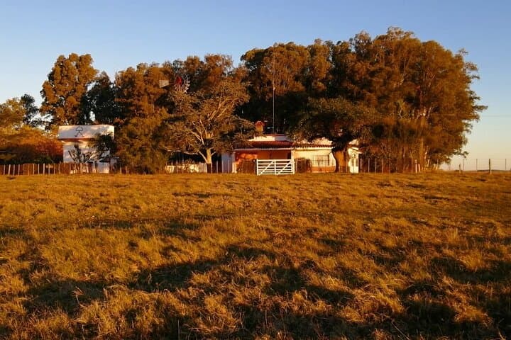 Estancia El Ceibo: Countryside Day Trip from Montevideo with Horseback & Fishing photo 2