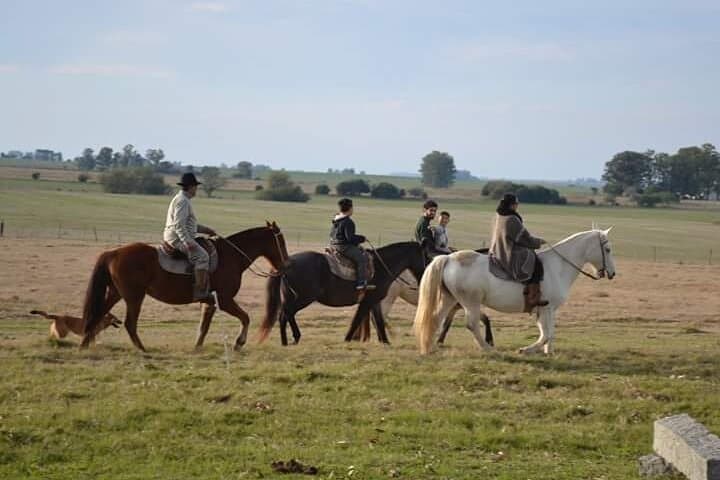 Estancia El Ceibo: Countryside Day Trip from Montevideo with Horseback & Fishing photo 3