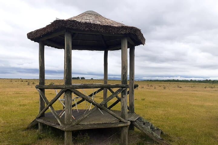 Estancia El Ceibo: Countryside Day Trip from Montevideo with Horseback & Fishing photo 4