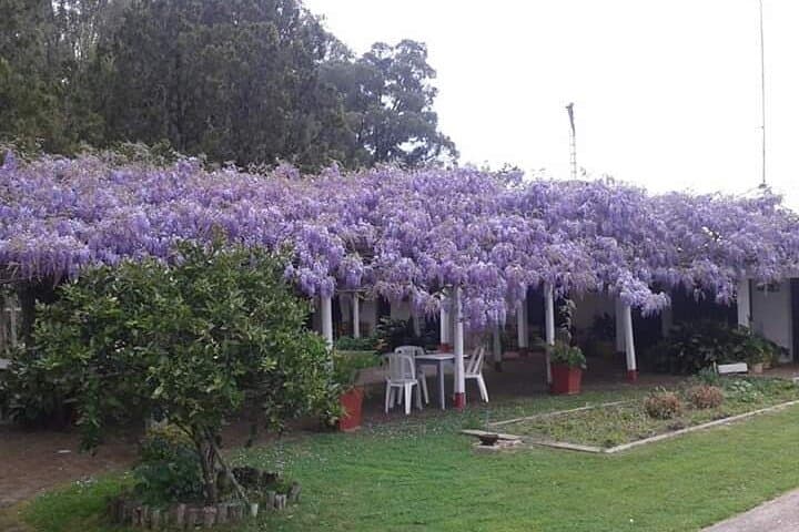 Estancia El Ceibo: Countryside Day Trip from Montevideo with Horseback & Fishing photo 5