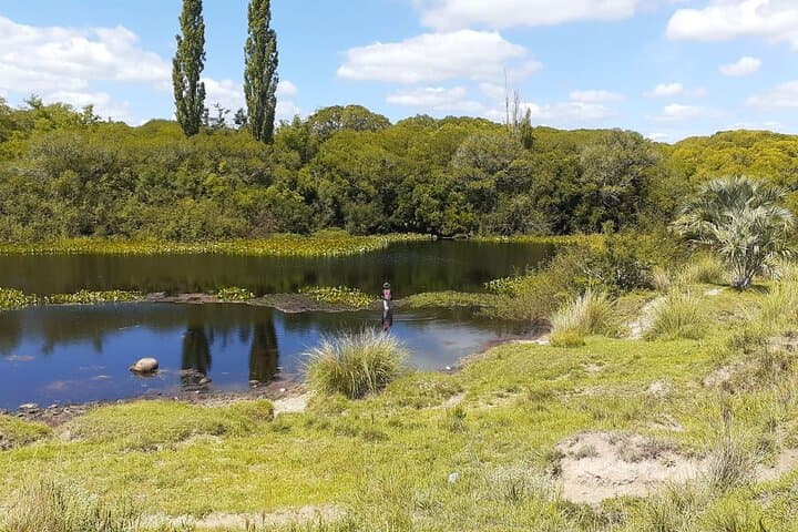 Estancia El Ceibo: Countryside Day Trip from Montevideo with Horseback & Fishing photo 6