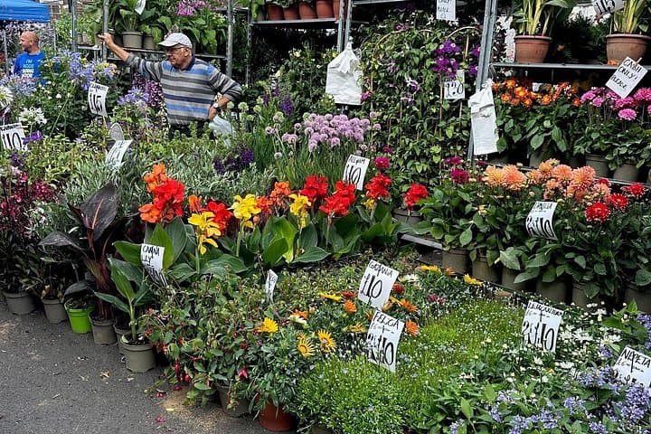 Authentic London Sunday Markets Walking Tour: Broadway, Columbia Road & Brick Lane photo 3