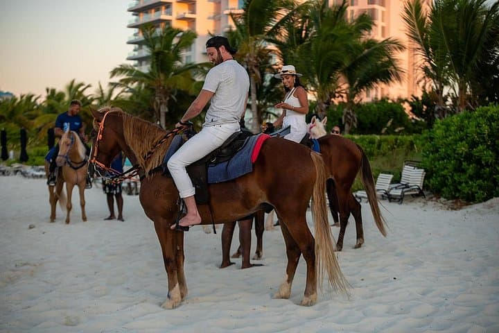 Private Beach & Ocean Horseback Ride in Providenciales — Ride into the Sea on Grace Bay photo 2