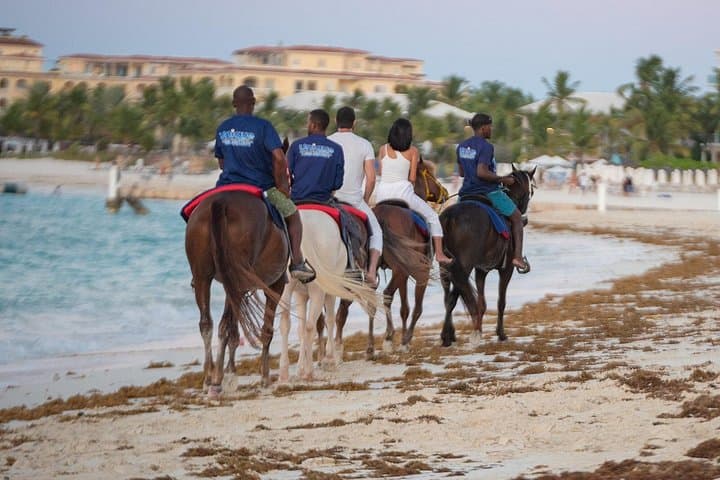 Private Beach & Ocean Horseback Ride in Providenciales — Ride into the Sea on Grace Bay photo 3