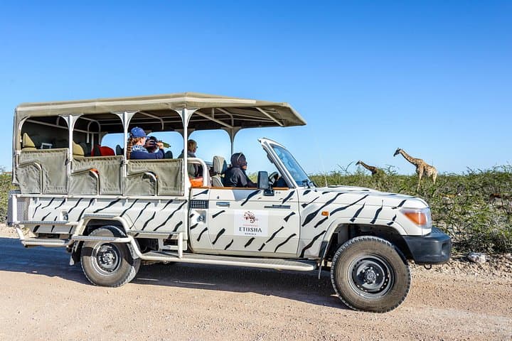 3-Day Etosha Safari from Windhoek — Etosha Safari Camp Wildlife Experience